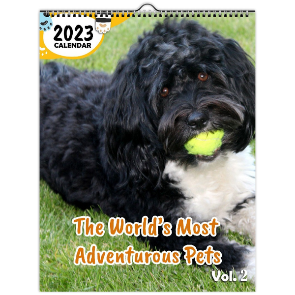 The World's Most Adventurous Pets Volume Two: 2023 Wall Calendar