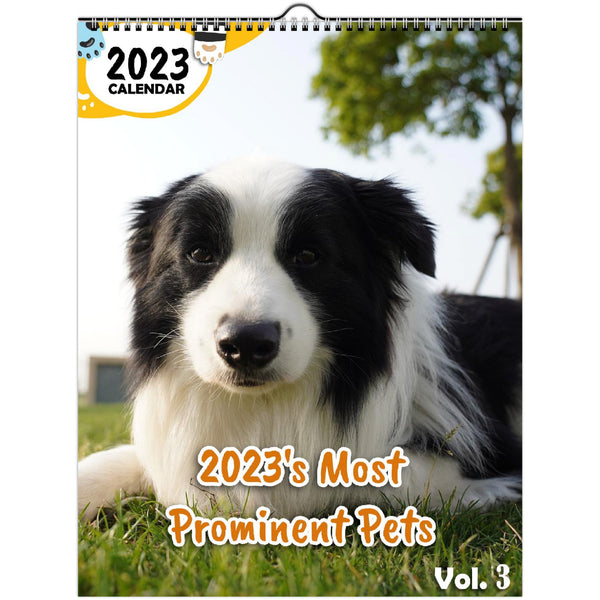 2023's Most Prominent Pets Volume Three: 2023 Wall Calendar