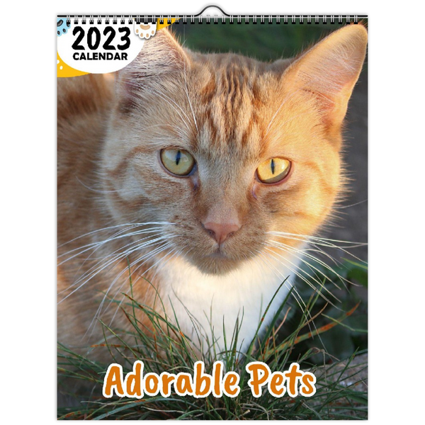 Adorable Pets: 2023 Wall Calendar