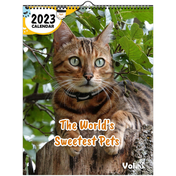 The World's Sweetest Pets Volume Three: 2023 Wall Calendar