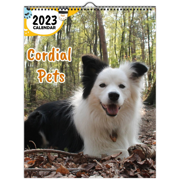 Cordial Pets: 2023 Wall Calendar