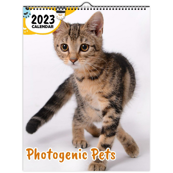 Photogenic Pets: 2023 Wall Calendar
