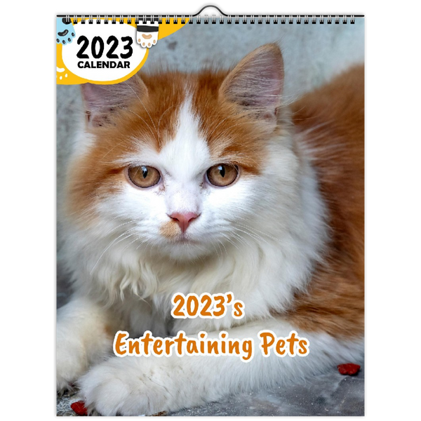 2023's Entertaining Pets: 2023 Wall Calendar