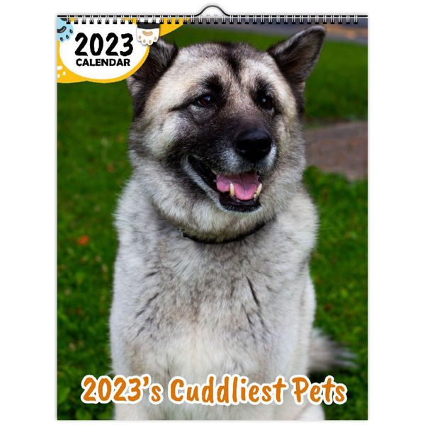 2023's Cuddliest Pets: 2023 Wall Calendar
