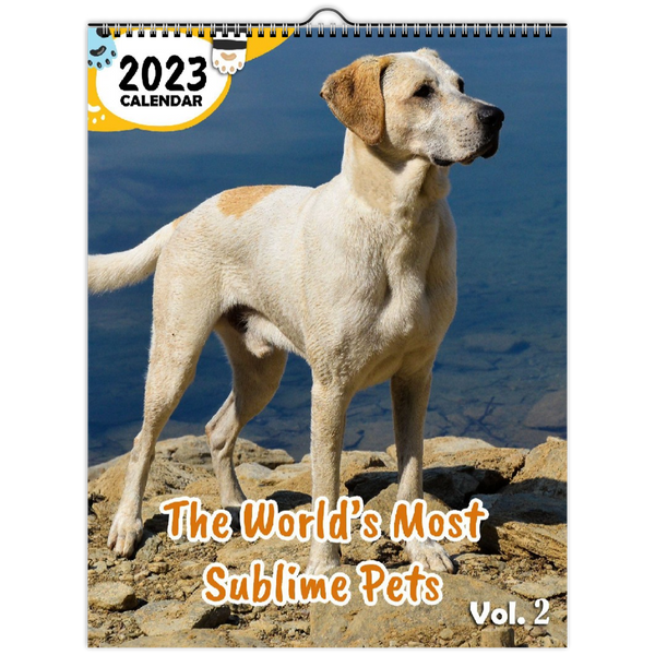 The World's Most Sublime Pets Volume Two: 2023 Wall Calendar