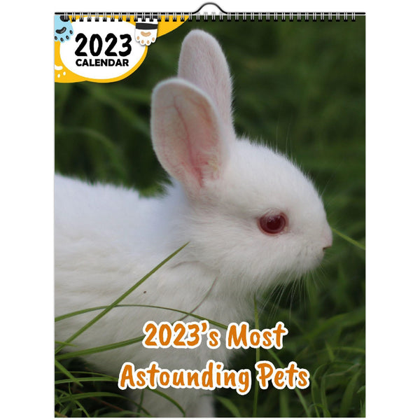 2023's Most Astounding Pets: 2023 Wall Calendar