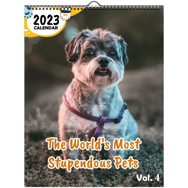 The World's Most Stupendous Pets Volume Four: 2023 Wall Calendar