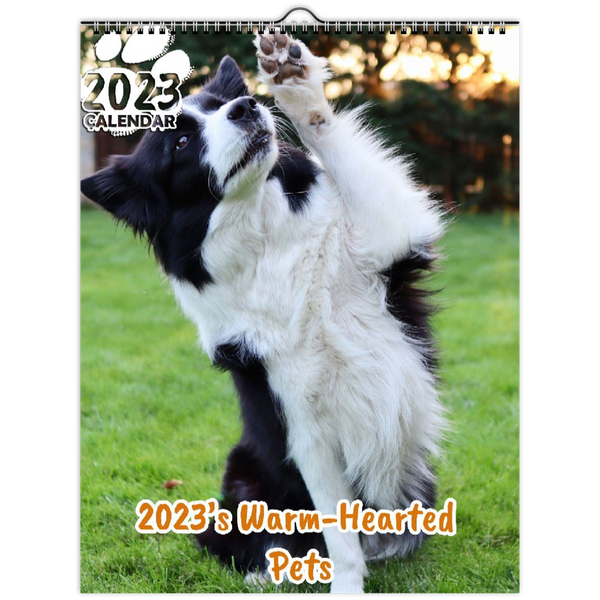 2023's Warm-Hearted Pets: 2023 Wall Calendar