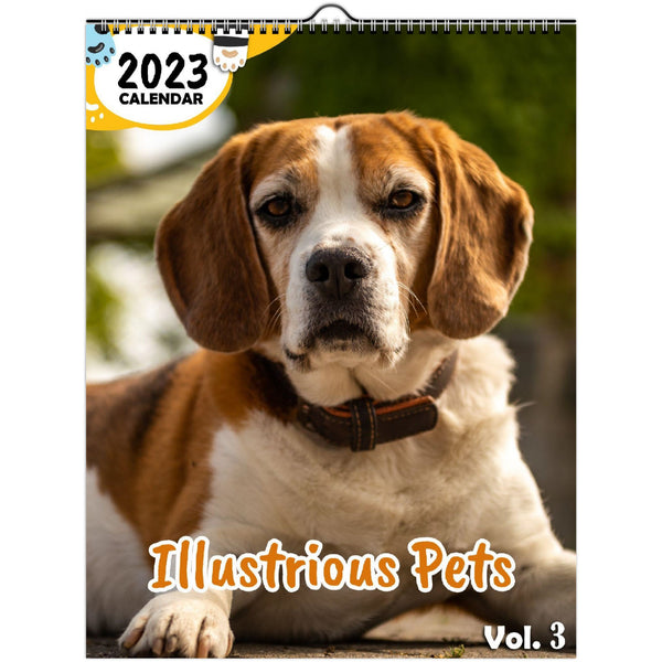 Illustrious Pets Volume Three: 2023 Wall Calendar