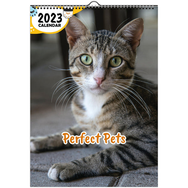 Perfect Pets: 2023 Wall Calendar