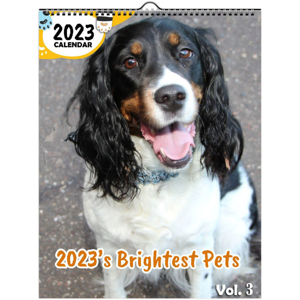 2023's Brightest Pets Volume Three: 2023 Wall Calendar