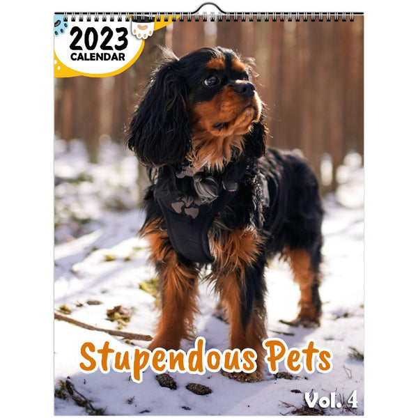 Stupendous Pets Volume Four: 2023 Wall Calendar