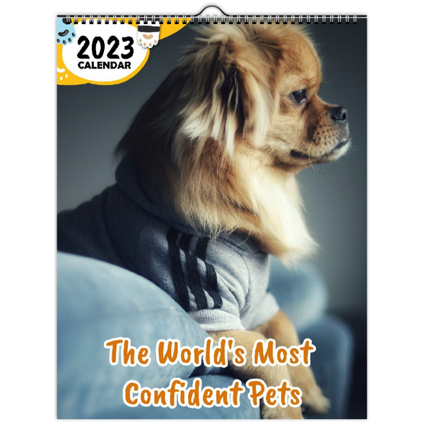 The World's Most Confident Pets: 2023 Wall Calendar