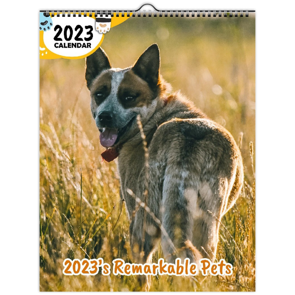 2023's Remarkable Pets: 2023 Wall Calendar