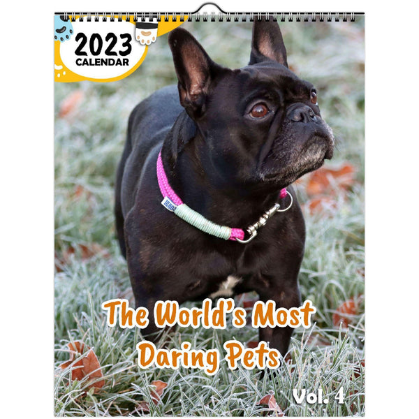The World's Most Daring Pets Volume Four: 2023 Wall Calendar