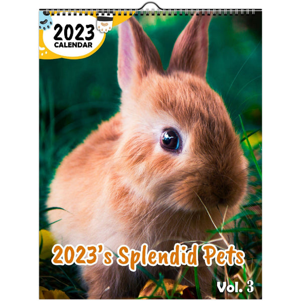 2023's Splendid Pets Volume Three: 2023 Wall Calendar