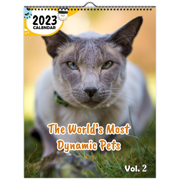 The World's Most Dynamic Pets Volume Two: 2023 Wall Calendar