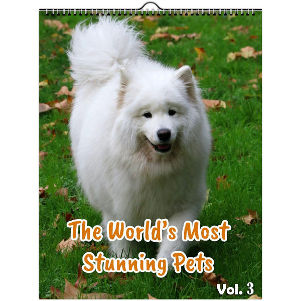 The World's Most Stunning Pets Volume Three: 2023 Wall Calendar