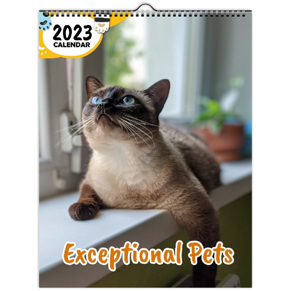 Exceptional Pets: 2023 Wall Calendar