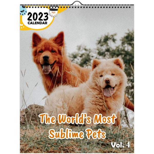 The World's Most Sublime Pets Volume Four: 2023 Wall Calendar