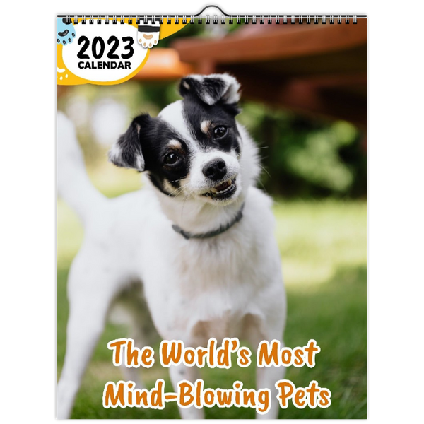 The World's Most Mind-Blowing Pets: 2023 Wall Calendar