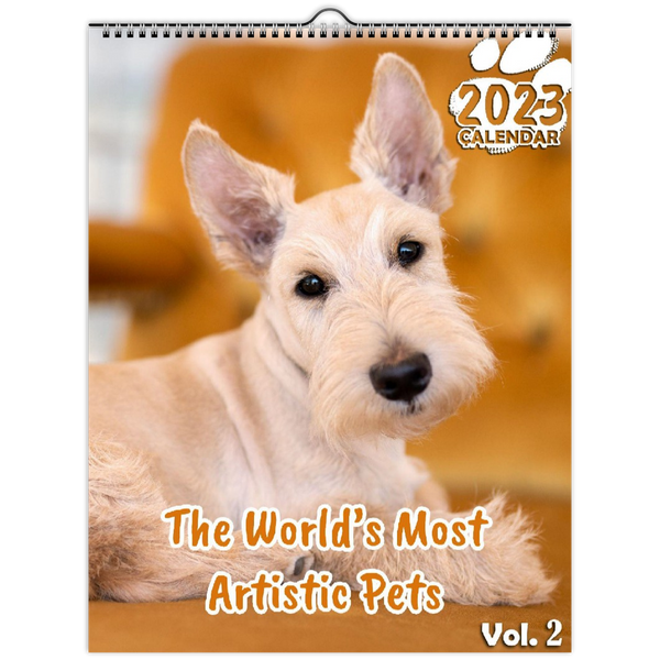 The World's Most Artistic Pets Volume Two: 2023 Wall Calendar