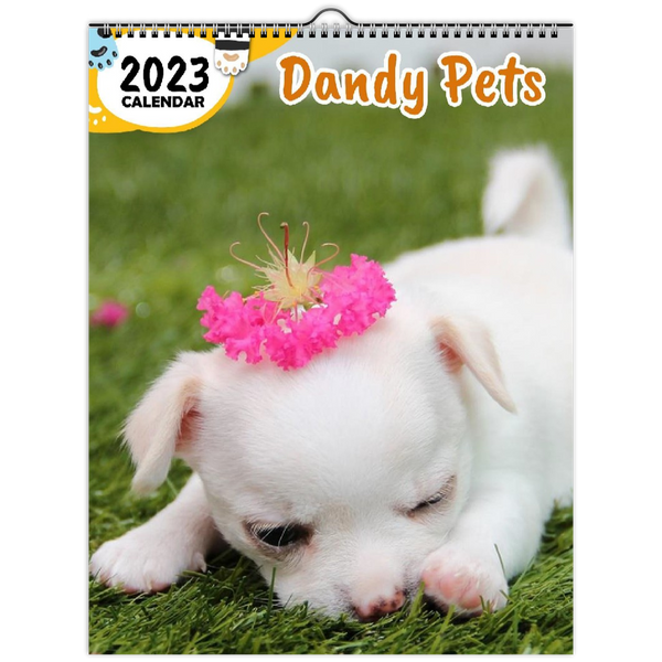 Dandy Pets: 2023 Wall Calendar