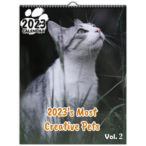 2023's Most Creative Pets Volume Two: 2023 Wall Calendar