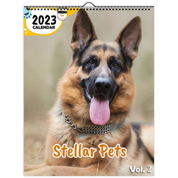 Stellar Pets Volume Two: 2023 Wall Calendar