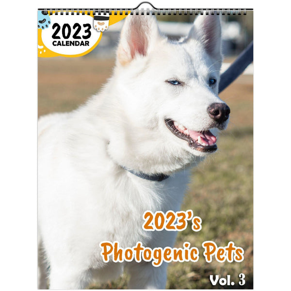 2023's Photogenic Pets Volume Three: 2023 Wall Calendar