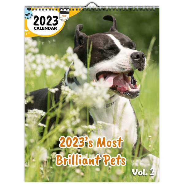 2023's Most Brilliant Pets Volume Two: 2023 Wall Calendar
