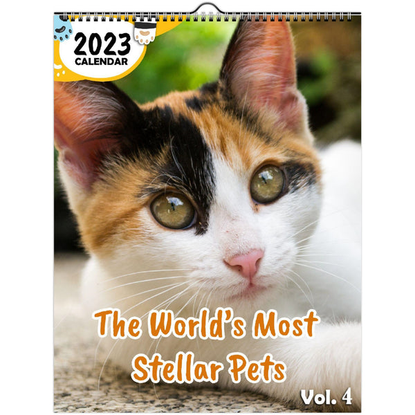 The World's Most Stellar Pets Volume Four: 2023 Wall Calendar