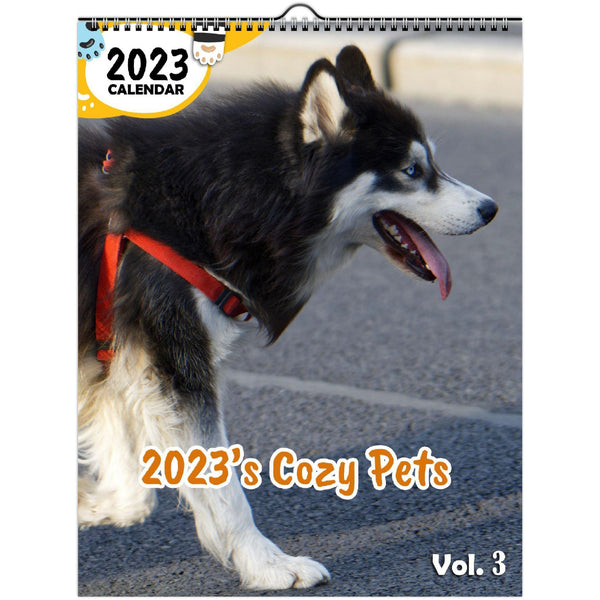 2023's Cozy Pets Volume Three: 2023 Wall Calendar