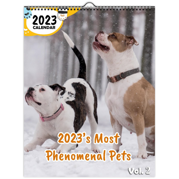 2023's Most Phenomenal Pets Volume Two: 2023 Wall Calendar