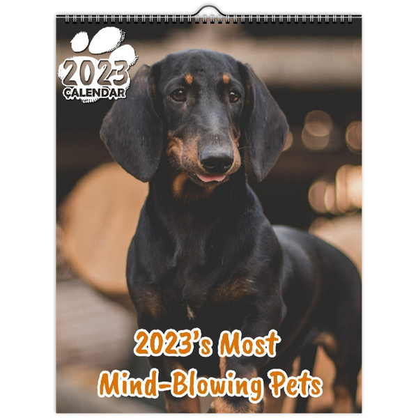 2023's Most Mind-Blowing Pets: 2023 Wall Calendar