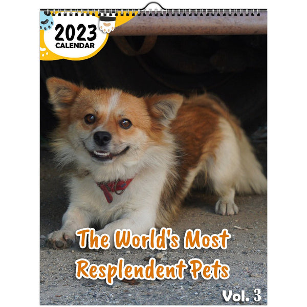 The World's Most Resplendent Pets Volume Three: 2023 Wall Calendar