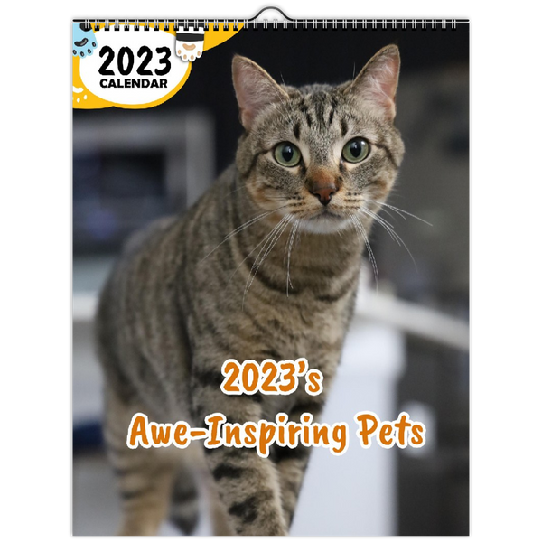 2023's Awe-Inspiring Pets: 2023 Wall Calendar