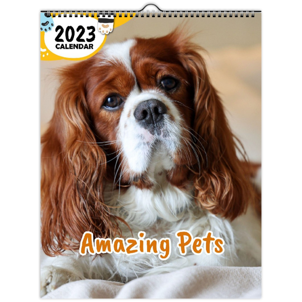 Amazing Pets: 2023 Wall Calendar