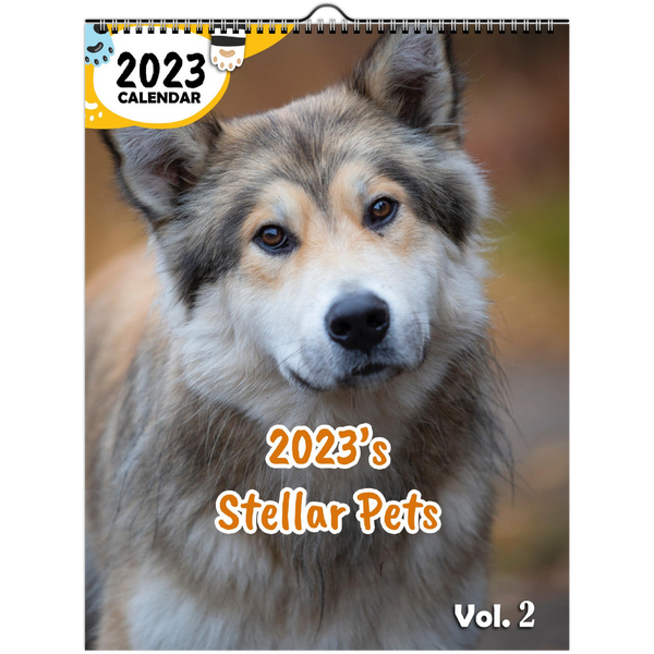 2023's Stellar Pets Volume Two: 2023 Wall Calendar