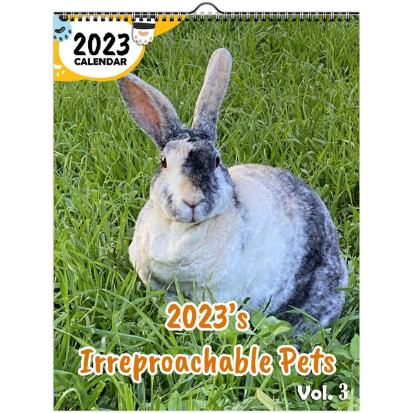 2023's Irreproachable Pets Volume Three: 2023 Wall Calendar