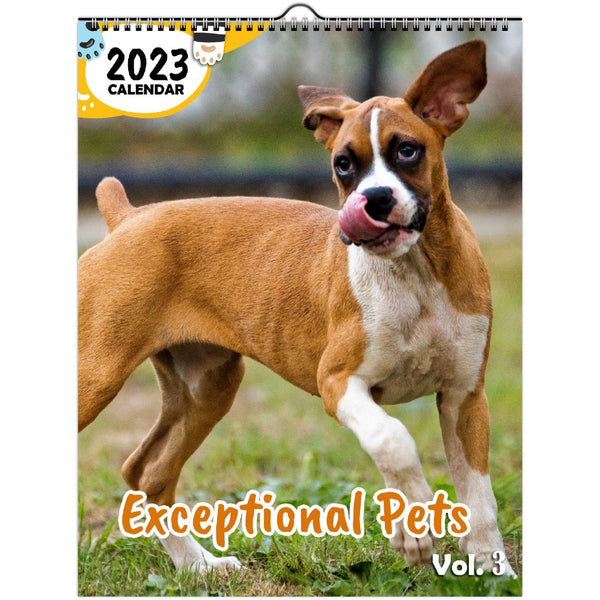 Exceptional Pets Volume Three: 2023 Wall Calendar