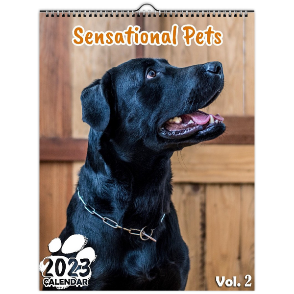 Sensational Pets Volume Two: 2023 Wall Calendar