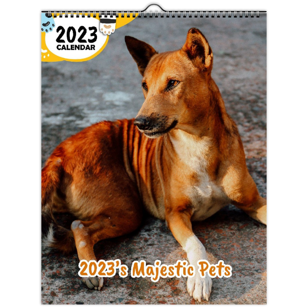 2023's Majestic Pets: 2023 Wall Calendar