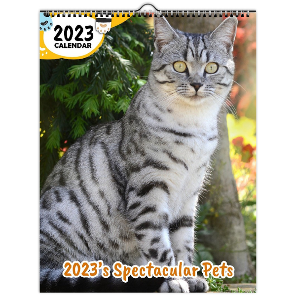 2023's Spectacular Pets: 2023 Wall Calendar