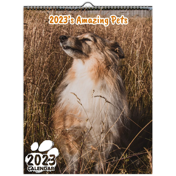 2023's Amazing Pets: 2023 Wall Calendar