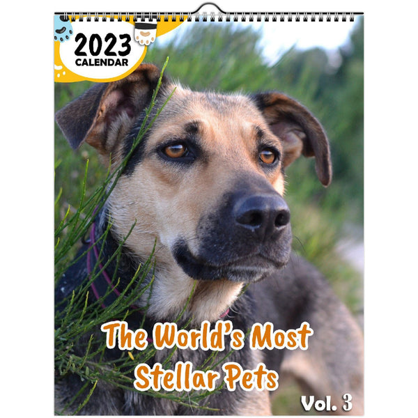 The World's Most Stellar Pets Volume Three: 2023 Wall Calendar