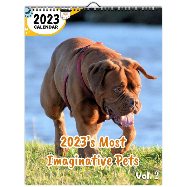 2023's Most Imaginative Pets Volume Two: 2023 Wall Calendar