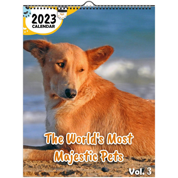 The World's Most Majestic Pets Volume Three: 2023 Wall Calendar