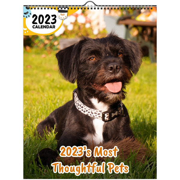 2023's Most Thoughtful Pets: 2023 Wall Calendar