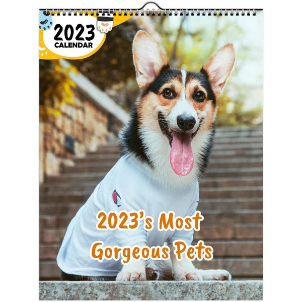 2023's Most Gorgeous Pets: 2023 Wall Calendar